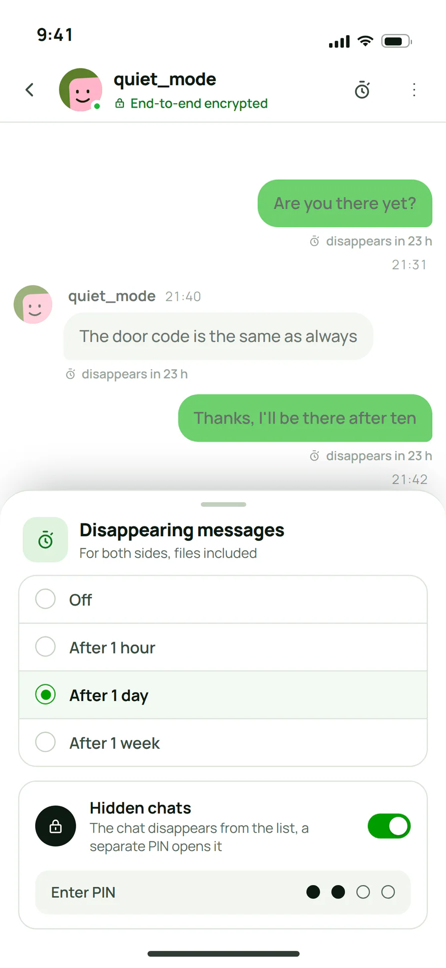 Disappearing messages in a Plazer conversation: choosing the timer and hidden chats opened with a separate PIN